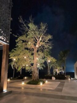 Outdoor Lighting in Miami