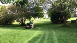 Safe Winter Properties Start With Reliable Snow Removal in Red Deer