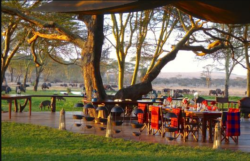 Luxury Kenya Safari: Explore Kenya in Comfort and Style