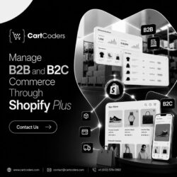 CartCoders Builds Connected B2B and B2C Stores