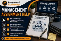 Professional Management Assignment Help Services