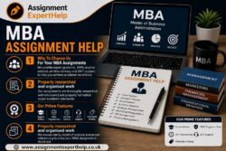 Elevate Your Management Studies with Professional MBA Assignment Support