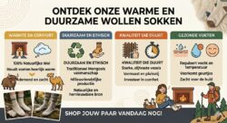 Mongolian Wool: Natural Softness, Sustainable Comfort