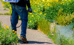 Improve Property Safety With Reliable Pest Control in Calgary