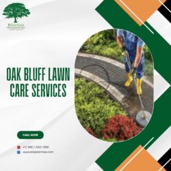 Oak Bluff Lawn Care Services