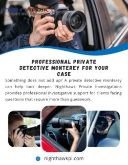Professional Private Detective Monterey for Your Case