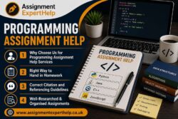 Manage Academic Challenges Better with Expert Project Management Support