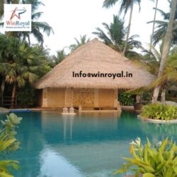 Reed Thatch Roof for Traditional and Contemporary Outdoor Designs