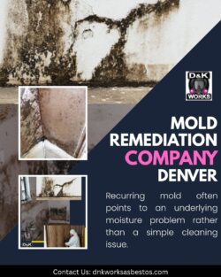 Say Goodbye to Mold With a Mold Remediation Company Denver