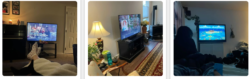 FB-https://www.facebook.com/EZStreamTVBox/
