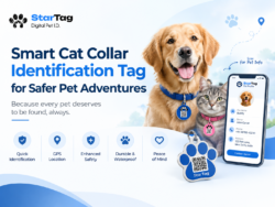 Smart Cat Collar Identification Tag for Safer Pet Adventures