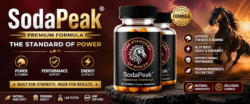 SodaPeak: Flavor That Keeps You Coming Back