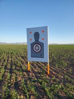 Sure Shot Target Anchor: A Reliable Choice for Shooting Bench Stability
