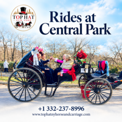 Rides at Central Park