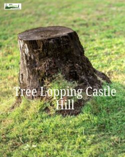 Tree Lopping Castle Hill