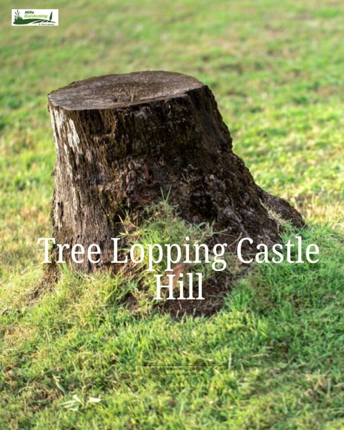 Tree Lopping Castle Hill