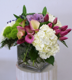 Tulips And Callas Flowers