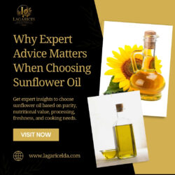 How Sunflower Oil Experts Evaluate Processing Methods and Quality