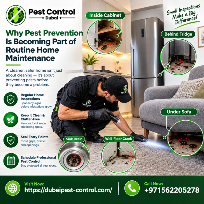 Why Pest Prevention Is Becoming Part of Routine Home Maintenance