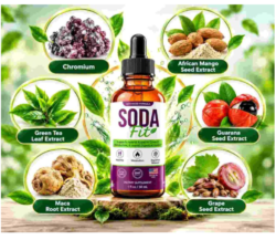 SodaFit Capsules for Weight Management: Complete Guide