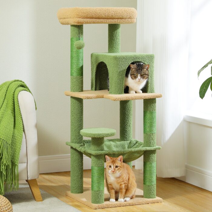 Large Cat Trees for Climbing & Resting | Pawz Haus UK