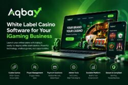 White Label Casino Software Provider | Aqbay