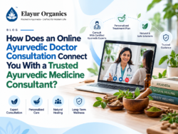How Does an Online Ayurvedic Doctor Consultation Connect You With a Trusted Ayurvedic Medicine C ...