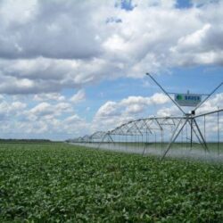Rich River Spray Irrigation: Smarter Watering Starts Here