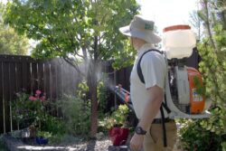 How a Pest Control Service in Winnipeg Protects Your Property