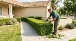 Efrain Lawn Service Clears Outdoor Mess With Yard Clean Up in Fresno