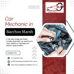 Experienced Car Mechanic in Gisborne for Reliable Auto Servicing