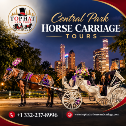 Central Park Horse Carriage Tours