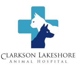 Hassle-free documentation with Pet Travel Health Certificate Mississauga for safe international  ...