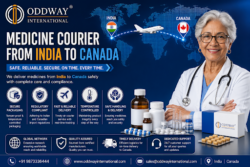 How Can B2B Buyers Organize Medicine courier From India to Canada? 5 Steps