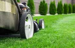 Ultimate Guide to Using Marathon Grass Fertilizer for a Lush Lawn