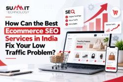 How Can the Best Ecommerce SEO Services in India Fix Your Low Traffic Problem?