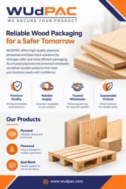 Reliable Wood Packging for a Safer Tomorrow