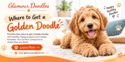 Golden Doodle Puppies for Unforgettable Family Moments