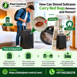 How Can Stored Suitcases Carry Bed Bugs Between Hotels and Homes?