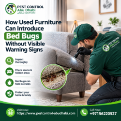 How Used Furniture Can Introduce Bed Bugs Without Visible Warning Signs