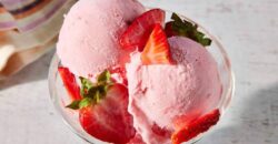 Bombay Creamery ice cream dealership opportunities for business investors