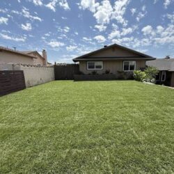 Transform Your Lawn with Fresh Sod in Orange County