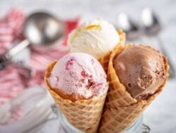 Rapid Bombay Creamery franchise apply online Desk Ready