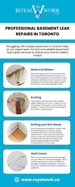Professional Basement Leak Repairs in Toronto