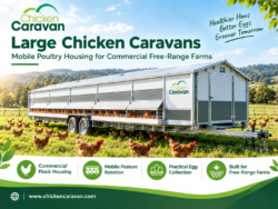 Large Chicken Caravans for Commercial Free-Range Farms