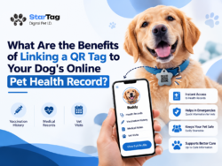 What Are the Benefits of Linking a QR Tag to Your Dog’s Online Pet Health Record?