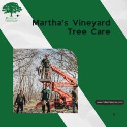 Martha’s Vineyard Tree Care