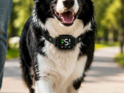 https://www.facebook.com/HushBarkCollar/