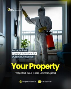 Reliable Pest Control Solutions in Dublin