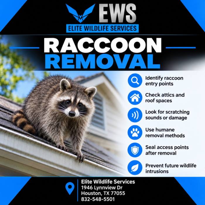 Humane Wildlife Management for Your Property